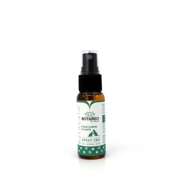 Spray CBD pour Chiens et Chats - BOTANEO