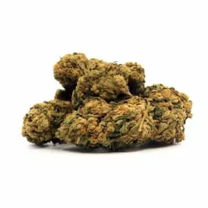 Bubba Kush, variété CBD Indica aux arômes terreux et épicés, idéale pour une relaxation profonde et un soulagement du stress.