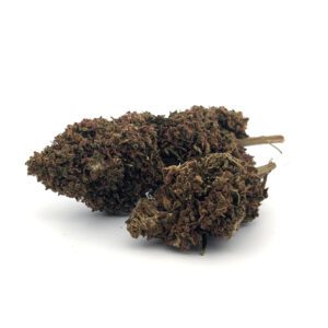 Jack Herer, variété CBD Sativa légendaire aux arômes épicés et boisés, idéale pour une clarté mentale et une relaxation équilibrée.