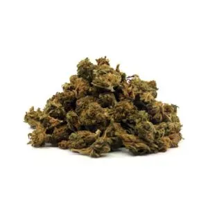 Buds Popcorn CBD, petites fleurs compactes parfaites pour une consommation pratique et économique.