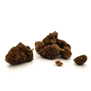 Strawberry, variété CBD à dominance Sativa, aux arômes de fraise sucrée et profil aromatique fruité.