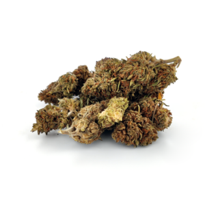 Super Skunk, variété CBD hybride aux arômes intenses et musqués, parfaite pour une détente profonde et apaisante.