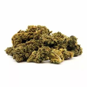 Tropical Kush, CBD aux arômes exotiques de fruits tropicaux et notes terreuses, idéale pour une détente douce et apaisante.