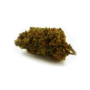 Fleur CBD Acapulco Gold Sativa, arômes terreux et boisés, saveur noix de muscade et citron, reflets verts et orange.