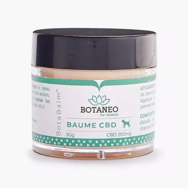 Baume au CBD pour Chiens - BOTANEO