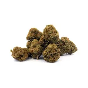 Amnesia Big Bud, grandes fleurs CBD Sativa aux arômes d’agrumes et notes épicées, idéale pour une expérience énergisante et revitalisante.