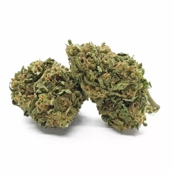 Fleur de CBD Bubble Gum Indoor