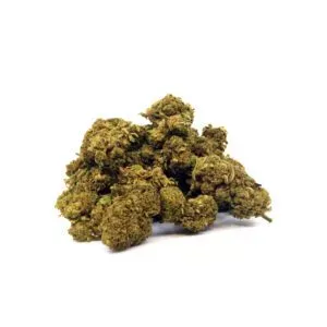 Green Crack, variété CBD Sativa aux saveurs fruitées et acidulées, idéale pour une énergie revitalisante et une clarté mentale.