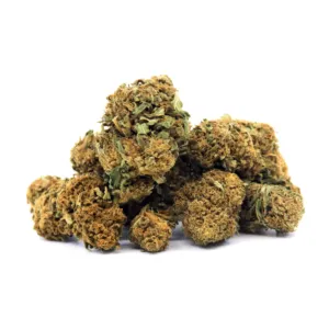 Sour Diesel, variété CBD Sativa aux arômes de citron et diesel, parfaite pour une expérience énergisante et stimulante.