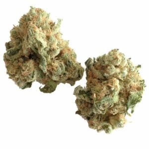 Fleur de CBD White Widow Greenhouse