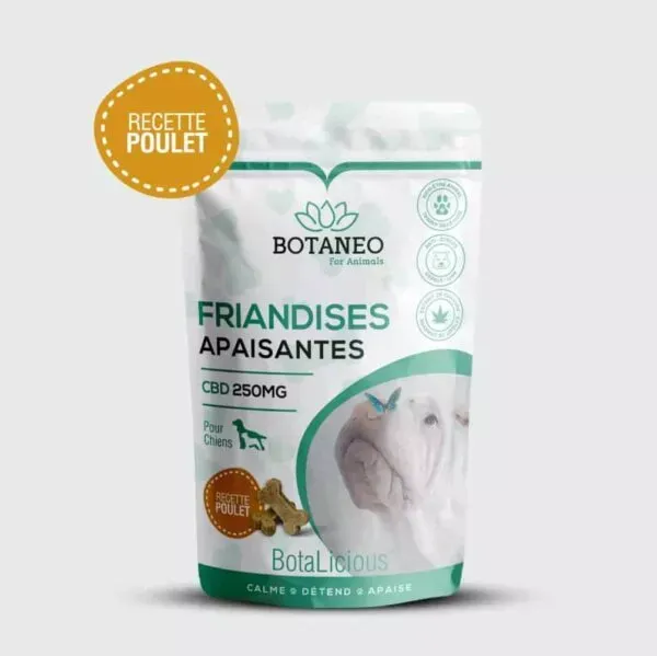 Friandis au CBD pour chien de Botalicious Botaneo au Poulet pas cher