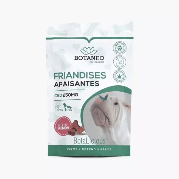 Friandises pour Chiens au CBD - Saumon - BOTANEO