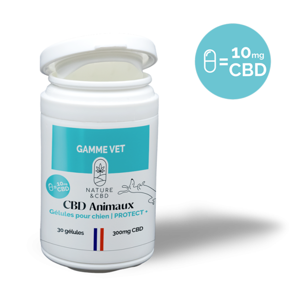 Gélules CBD Chien PROTECT + 10% - NATURE & CBD