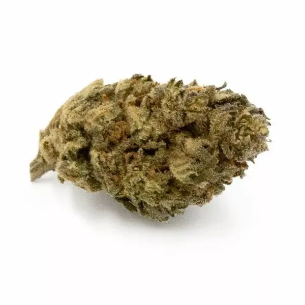 Orange Bud cbd pas cher