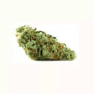 Jamaican Dream, variété CBD Sativa aux arômes tropicaux et sucrés, idéale pour une expérience vivifiante et ensoleillée.