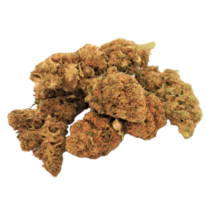 Magnana Haze, variété CBD hybride, saveurs tropicales de mangue et notes sucrées, idéale pour une relaxation équilibrée.