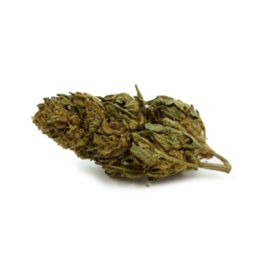 Fleur CBD Orange Bud greenhouse, arômes d'agrumes et notes sucrées, variété populaire à prix pas cher.