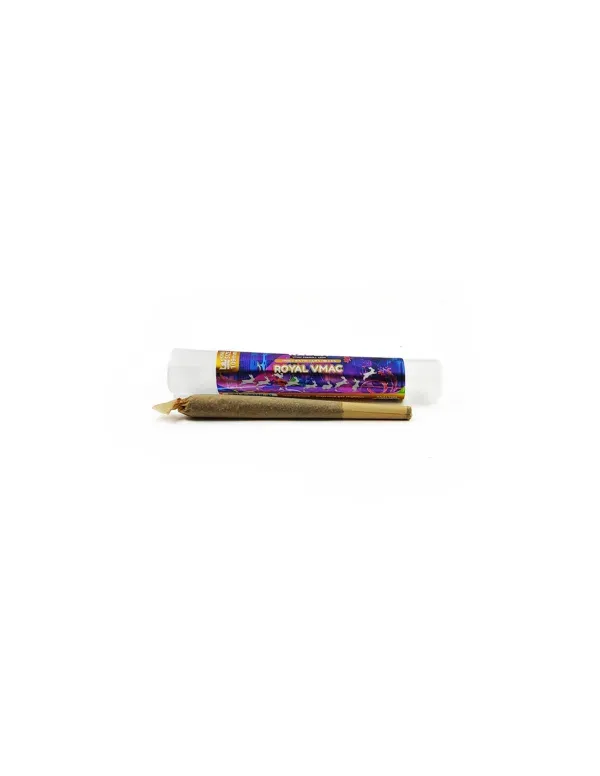 Pré-Roll VMAC Royal - WHITE RABBIT