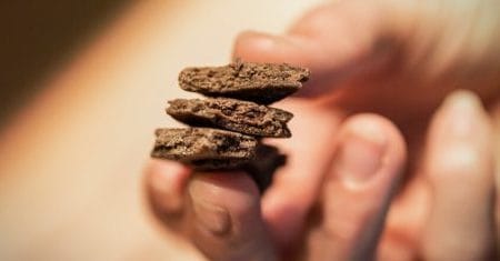 Résine et pollen de CBD en hash ou haschich pas cher